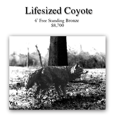 lifesized_coyote